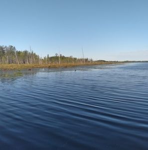 Meet your Posher, Timothy